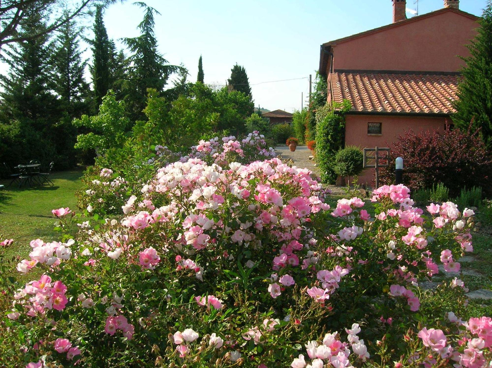 Sant'Alberto Campiglia d'Orcia Exterior photo